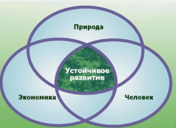 КРУГЛЫЙ СТОЛ: обсуждаем ЦУР